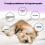 Pet Cleaner Effervescent Tablet Friendly Pet Odour Dog Shampoo Clean 2