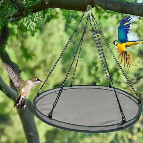 (Green) Tray Seed Bird Feeder Easy Installation For Bee Feeder Outdoors Backyard Garden 1