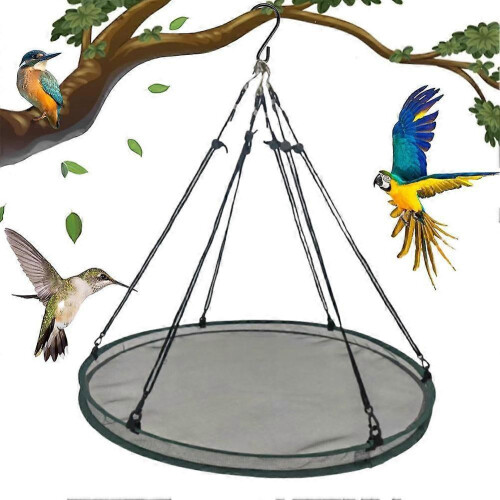(Green) Tray Seed Bird Feeder Easy Installation For Bee Feeder Outdoors Backyard Garden 2