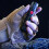 Flashlight Portable Compact Flashlight with Strong Light LED Outdoors Lights 5