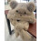 Furry Bear Trapper Hat Thicken Ushanka Hat Warm-D khaki 4