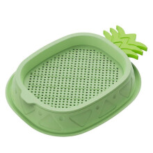 (Green) Ideal for Modern Long-lasting Cat Carrot Planting Grass Box Elegant Durable Home Hydroponic Box Ergonomic Soilless