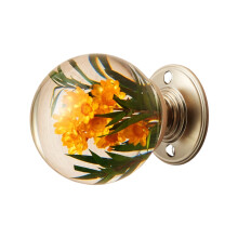 Unique Decorative Resin Cabinet Door Handle-citrus hued flower