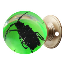 Elegant Insect Crystal Balls Door Knob for Stylish-Cerambycidae