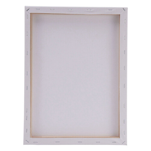 White Blank Artist Canvas Plain Framed Art Painting Stretched Acrylic Board 2