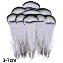 (3-7cm9, 500Pcs) Natural Peacock Pheasant Feathers Small Eagle Chicken Plumes Ostrich Decor Diy Handicraft Accessories Jewelry Creation - Pjun