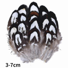 (3-7cm7, 100Pcs) Natural Peacock Pheasant Feathers Small Eagle Chicken Plumes Ostrich Decor Diy Handicraft Accessories Jewelry Creation - Pjun