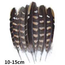 (10-15cm, 100Pcs) Natural Peacock Pheasant Feathers Small Eagle Chicken Plumes Ostrich Decor Diy Handicraft Accessories Jewelry Creation - Pjun