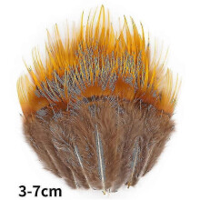 (3-7cm18, 20Pcs) Natural Peacock Pheasant Feathers Small Eagle Chicken Plumes Ostrich Decor Diy Handicraft Accessories Jewelry Creation - Pjun