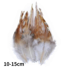 (10-15cm14, 20Pcs) Natural Peacock Pheasant Feathers Small Eagle Chicken Plumes Ostrich Decor Diy Handicraft Accessories Jewelry Creation - Pjun