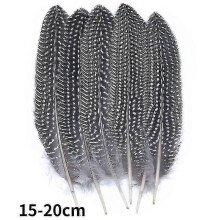 (15-20cm20, 100Pcs) Natural Peacock Pheasant Feathers Small Eagle Chicken Plumes Ostrich Decor Diy Handicraft Accessories Jewelry Creation - Pjun