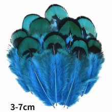 (3-7cm, 20Pcs) Natural Peacock Pheasant Feathers Small Eagle Chicken Plumes Ostrich Decor Diy Handicraft Accessories Jewelry Creation - Pjun
