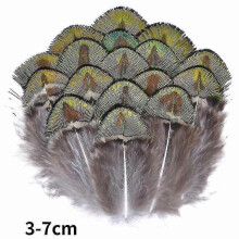 (3-7cm24, 100Pcs) Natural Peacock Pheasant Feathers Small Eagle Chicken Plumes Ostrich Decor Diy Handicraft Accessories Jewelry Creation - Pjun