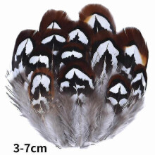 (3-7cm6, 20Pcs) Natural Peacock Pheasant Feathers Small Eagle Chicken Plumes Ostrich Decor Diy Handicraft Accessories Jewelry Creation - Pjun