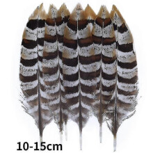 (10-15cm13, 100Pcs) Natural Peacock Pheasant Feathers Small Eagle Chicken Plumes Ostrich Decor Diy Handicraft Accessories Jewelry Creation - Pjun