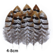 (4-8cm, 100Pcs) Natural Peacock Pheasant Feathers Small Eagle Chicken Plumes Ostrich Decor Diy Handicraft Accessories Jewelry Creation - Pjun