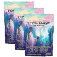 (3pcs) 1-5x Yerba Mate Instant Tea Powder, Peach Mango Flavors, Natural Tea Mate with Prebiotics, Instant Tea for Men Women