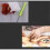 DIY Lock Hook Kit Three Horses DIY Tapestry 52*38cm/20*15inch - DD01 1