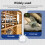 Tuya  Home Sensor ZigBee Temperature and Humidity Sensor App Remote Monitoring Light Sensor Detector 6