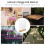 Support Pour Menu Avec Base En Bois 4