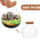 2 Pièces Sphérique Bouteille Pour Terrarium Micropaysage 3