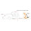 4X Car Trunk Electric Tailgate Kick Foot Pedal Sensor Electric Induction Tailgate  Trunk Opening Sensor 7