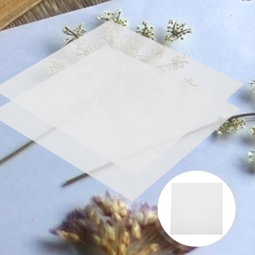 10 pièces papier absorbant rechange pour fleurs pressées bricolage 2