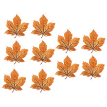 10Pièces Stickers Thermocollants Patchs Brodés
