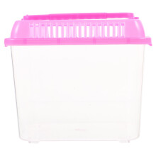 bac alimentation reptile tortue grimpant pour animal