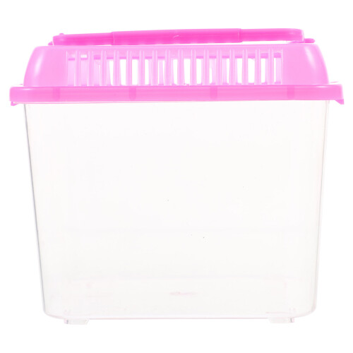 bac alimentation reptile tortue grimpant pour animal