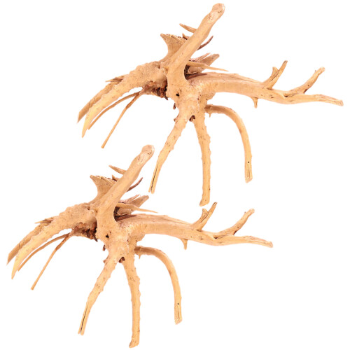 2pcs Rhododendron Root Driftwood for Aquarium