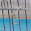 pour cage 5 pièces fermoirs homard perroquet 8