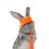 Mini Chapeau Pour Animaux, Accessoire De Costume Pour Petits Animaux 3