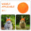 Mini Chapeau Pour Animaux, Accessoire De Costume Pour Petits Animaux 5