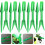 Gardening Succulent Tools Set Planting Kit 10 Sets 10