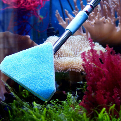 Brush For Turtle Tank Plastic 1pcs 2