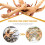 2pcs Rhododendron Root Driftwood for Aquarium 4