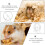 Roue D'exercice Pour Hamster Hérisson Couleur 5