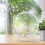 Roue D'exercice Pour Hamster Hérisson Couleur 7