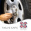8Pz Valvola Pneumatico Auto Stile Uk Acciaio Resistente 4