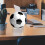 Stand Acrilico Per Palloni Sportivi Trasparente Design 8