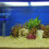 d'aquarium 500 g, caverne en pour décoration 5