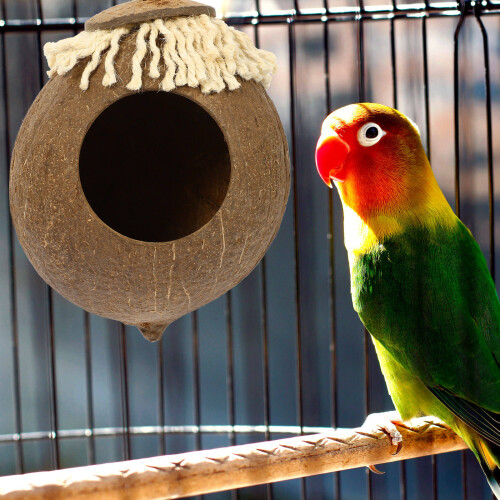 Unbranded  Hermit Crab Cage Coconut Shell Bird Nest Breeding 2