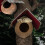 Unbranded  Hermit Crab Cage Coconut Shell Bird Nest Breeding 8