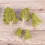 27 Pezzi Mini Alberi Per Architettonico Paesaggistico 3