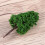 27 Pezzi Mini Alberi Per Architettonico Paesaggistico 8