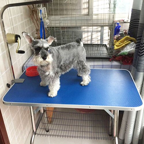 Blauwe Sling Hond Verzorging Met Snelsluiting Accessoire 2
