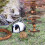 Rat Cage Accessories for Hamsters Grass Ball Small Pet 8
