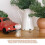 Portable Plastic Seed Storage Case With Design 5