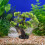 Resin Aquarium Tree Decor For Fish Tank 1set 3